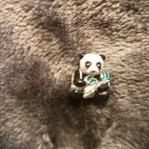 Pandora charms